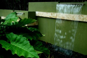 Waterfall cascading into large green ferns; lsu landscape architecture alumni work